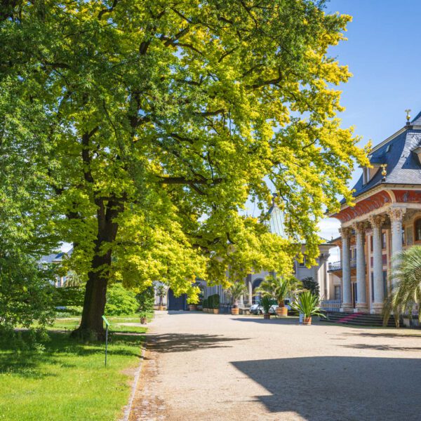 Deutschland, Europa, Europe, Frühling, Germany, Location, Ort, Sachsen, Saxony, Spring, Urlaub, Vaccation