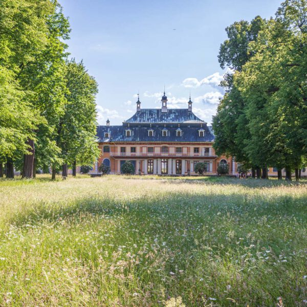 Deutschland, Europa, Europe, Frühling, Germany, Location, Ort, Sachsen, Saxony, Spring, Urlaub, Vaccation
