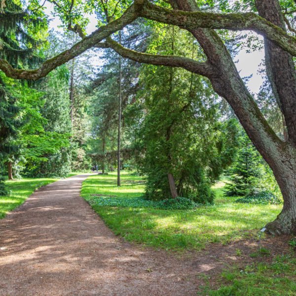 Deutschland, Europa, Europe, Frühling, Germany, Location, Ort, Sachsen, Saxony, Spring, Urlaub, Vaccation