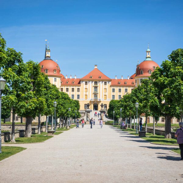 Deutschland, Europa, Europe, Frühling, Germany, Location, Ort, Sachsen, Saxony, Spring, Urlaub, Vaccation