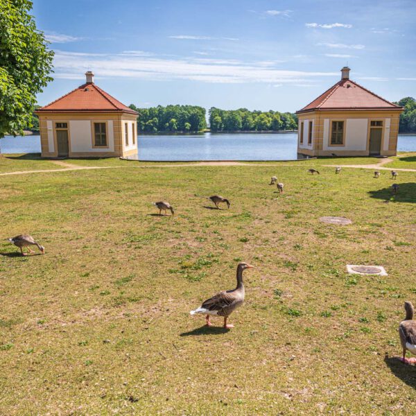 Deutschland, Europa, Europe, Frühling, Germany, Location, Ort, Sachsen, Saxony, Spring, Urlaub, Vaccation