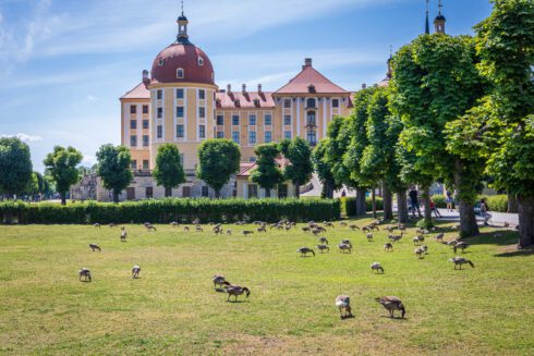 Deutschland, Europa, Europe, Frühling, Germany, Location, Ort, Sachsen, Saxony, Spring, Urlaub, Vaccation