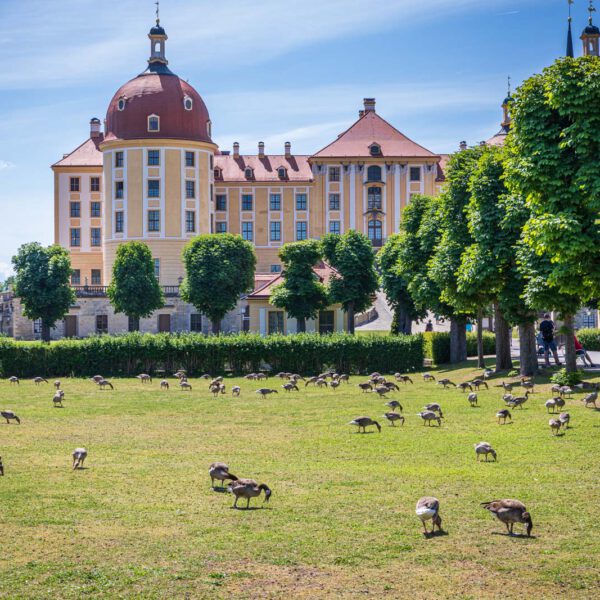 Deutschland, Europa, Europe, Frühling, Germany, Location, Ort, Sachsen, Saxony, Spring, Urlaub, Vaccation