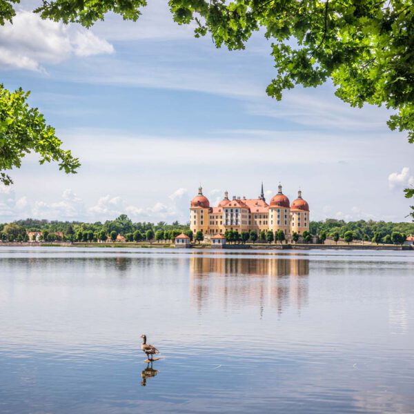 Deutschland, Europa, Europe, Frühling, Germany, Location, Ort, Sachsen, Saxony, Spring, Urlaub, Vaccation