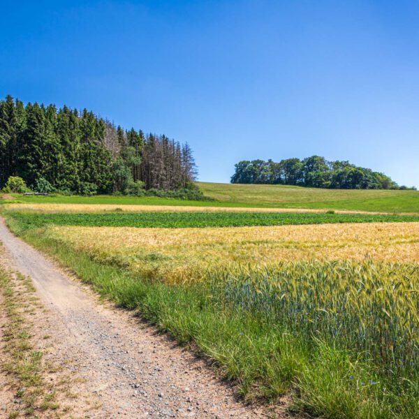 Deutschland, Europa, Europe, Extratour, Germany, Hessen, Hessia, Hiking, Hinterland, Lahn-Dill-Bergland, Location, Ort, Sommer, Summer, Wandern