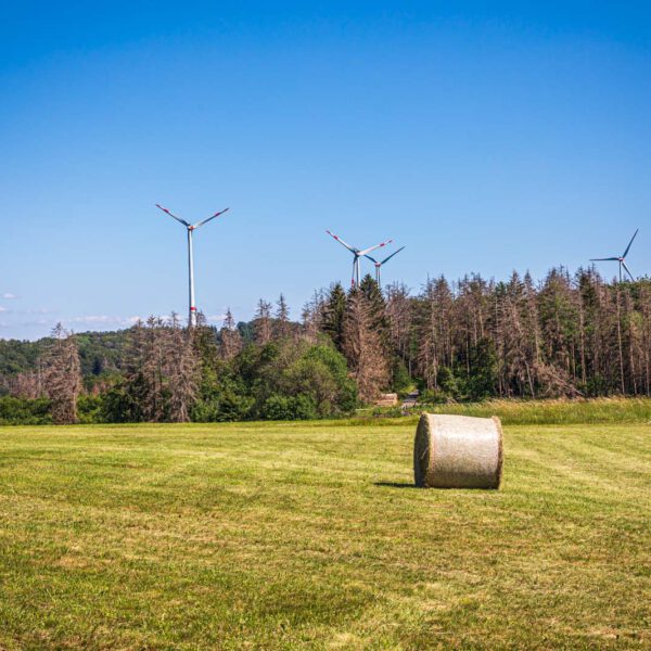 Deutschland, Europa, Europe, Extratour, Germany, Hessen, Hessia, Hiking, Hinterland, Lahn-Dill-Bergland, Location, Ort, Sommer, Summer, Wandern