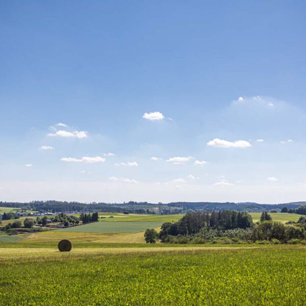 Deutschland, Europa, Europe, Extratour, Germany, Hessen, Hessia, Hiking, Hinterland, Lahn-Dill-Bergland, Location, Ort, Sommer, Summer, Wandern