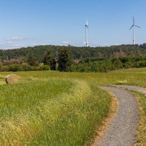 Deutschland, Europa, Europe, Extratour, Germany, Hessen, Hessia, Hiking, Hinterland, Lahn-Dill-Bergland, Location, Ort, Sommer, Summer, Wandern