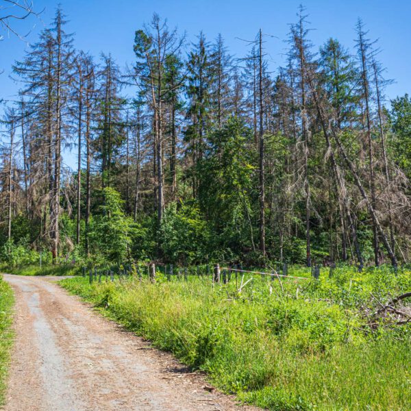 Deutschland, Europa, Europe, Extratour, Germany, Hessen, Hessia, Hiking, Hinterland, Lahn-Dill-Bergland, Location, Ort, Sommer, Summer, Wandern