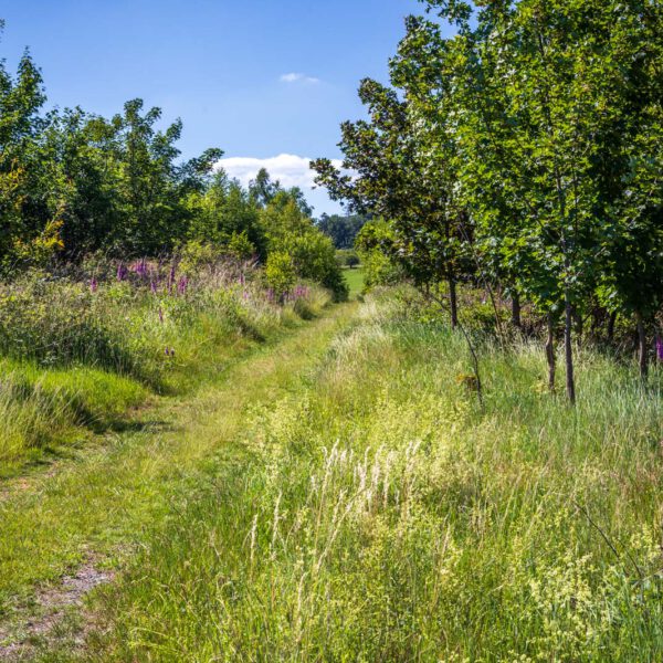 Deutschland, Europa, Europe, Extratour, Germany, Hessen, Hessia, Hiking, Hinterland, Lahn-Dill-Bergland, Location, Ort, Sommer, Summer, Wandern