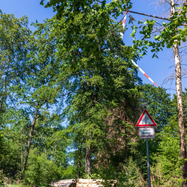 Deutschland, Europa, Europe, Extratour, Germany, Hessen, Hessia, Hiking, Hinterland, Lahn-Dill-Bergland, Location, Ort, Sommer, Summer, Wandern