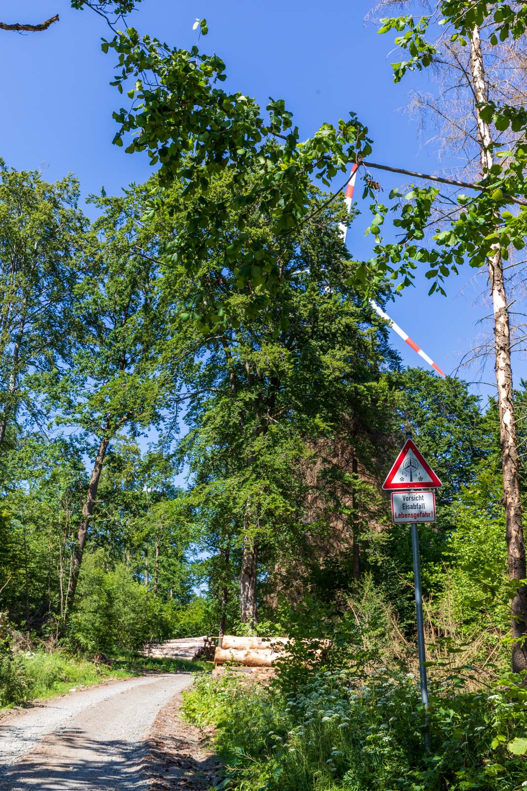 Deutschland, Europa, Europe, Extratour, Germany, Hessen, Hessia, Hiking, Hinterland, Lahn-Dill-Bergland, Location, Ort, Sommer, Summer, Wandern