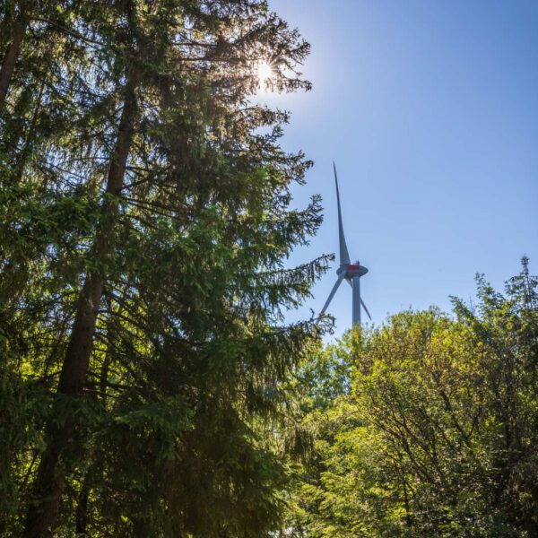 Deutschland, Europa, Europe, Extratour, Germany, Hessen, Hessia, Hiking, Hinterland, Lahn-Dill-Bergland, Location, Ort, Sommer, Summer, Wandern