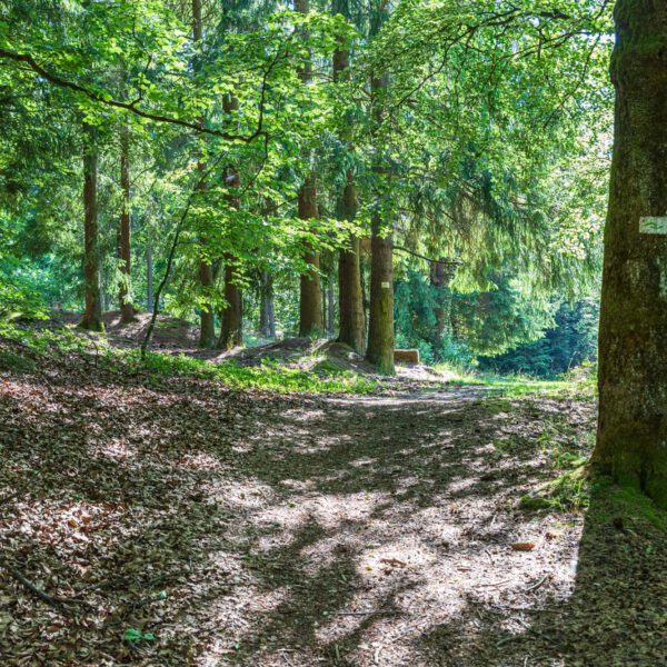 Deutschland, Europa, Europe, Extratour, Germany, Hessen, Hessia, Hiking, Hinterland, Lahn-Dill-Bergland, Location, Ort, Sommer, Summer, Wandern