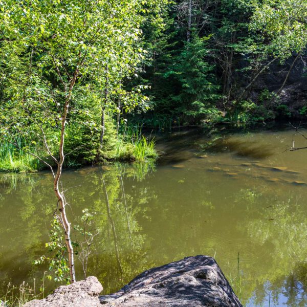 Deutschland, Europa, Europe, Extratour, Germany, Hessen, Hessia, Hiking, Hinterland, Lahn-Dill-Bergland, Location, Ort, Sommer, Summer, Wandern