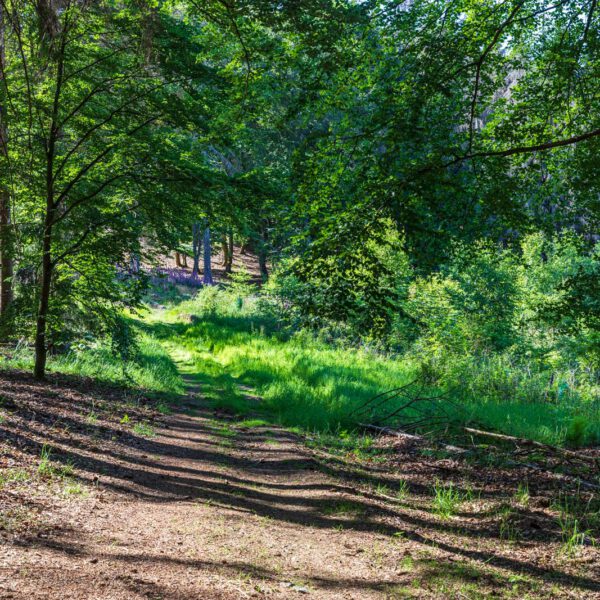 Deutschland, Europa, Europe, Extratour, Germany, Hessen, Hessia, Hiking, Hinterland, Lahn-Dill-Bergland, Location, Ort, Sommer, Summer, Wandern