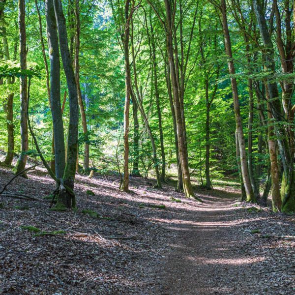 Deutschland, Europa, Europe, Extratour, Germany, Hessen, Hessia, Hiking, Hinterland, Lahn-Dill-Bergland, Location, Ort, Sommer, Summer, Wandern