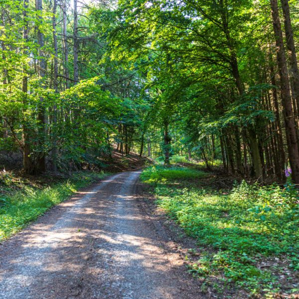 Deutschland, Europa, Europe, Extratour, Germany, Hessen, Hessia, Hiking, Hinterland, Lahn-Dill-Bergland, Location, Ort, Sommer, Summer, Wandern