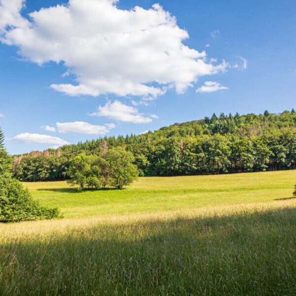 Deutschland, Europa, Europe, Extratour, Germany, Hessen, Hessia, Hiking, Hinterland, Lahn-Dill-Bergland, Location, Ort, Sommer, Summer, Wandern