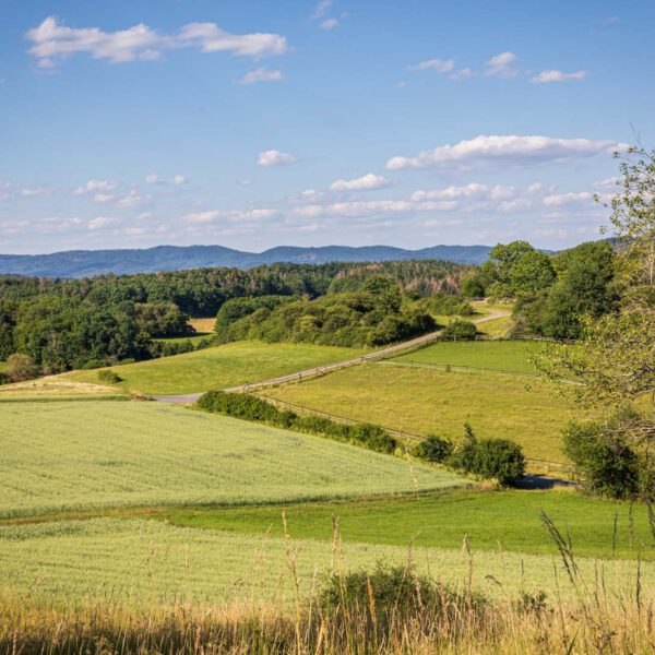 Deutschland, Europa, Europe, Extratour, Germany, Hessen, Hessia, Hiking, Hinterland, Lahn-Dill-Bergland, Location, Ort, Sommer, Summer, Wandern