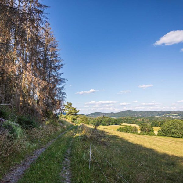 Deutschland, Europa, Europe, Extratour, Germany, Hessen, Hessia, Hiking, Hinterland, Lahn-Dill-Bergland, Location, Ort, Sommer, Summer, Wandern