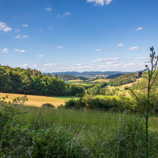 Deutschland, Europa, Europe, Extratour, Germany, Hessen, Hessia, Hiking, Hinterland, Lahn-Dill-Bergland, Location, Ort, Sommer, Summer, Wandern