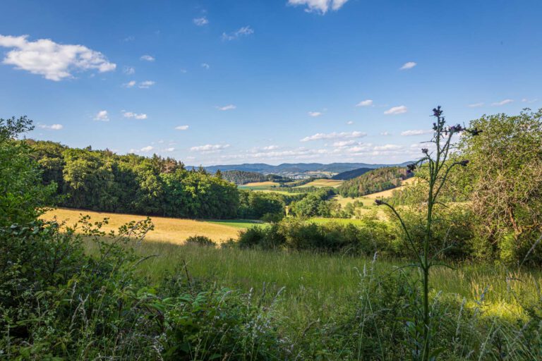 Deutschland, Europa, Europe, Extratour, Germany, Hessen, Hessia, Hiking, Hinterland, Lahn-Dill-Bergland, Location, Ort, Sommer, Summer, Wandern
