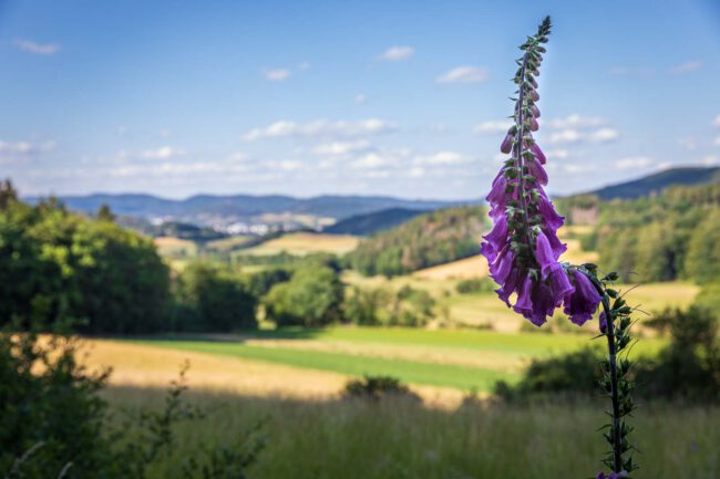 Deutschland, Europa, Europe, Extratour, Germany, Hessen, Hessia, Hiking, Hinterland, Lahn-Dill-Bergland, Location, Ort, Sommer, Summer, Wandern