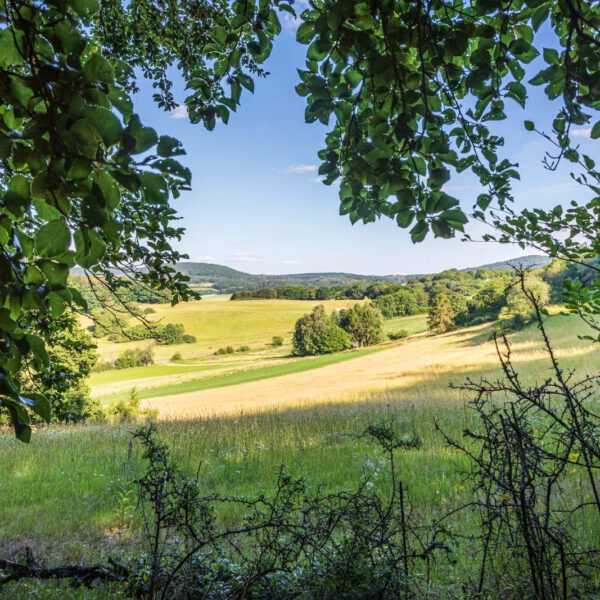 Deutschland, Europa, Europe, Extratour, Germany, Hessen, Hessia, Hiking, Hinterland, Lahn-Dill-Bergland, Location, Ort, Sommer, Summer, Wandern
