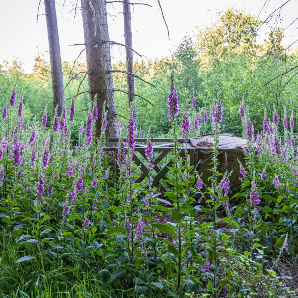 Deutschland, Europa, Europe, Extratour, Germany, Hessen, Hessia, Hiking, Hinterland, Lahn-Dill-Bergland, Location, Ort, Sommer, Summer, Wandern