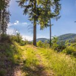 Deutschland, Europa, Europe, Extratour, Germany, Hessen, Hessia, Hiking, Hinterland, Lahn-Dill-Bergland, Location, Ort, Sommer, Summer, Wandern