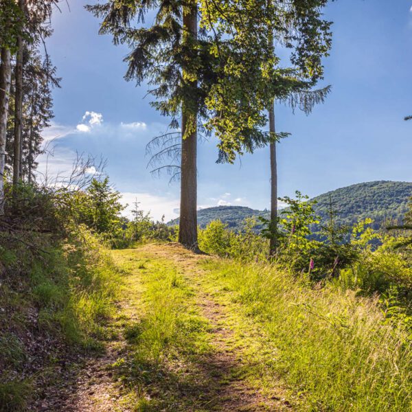 Deutschland, Europa, Europe, Extratour, Germany, Hessen, Hessia, Hiking, Hinterland, Lahn-Dill-Bergland, Location, Ort, Sommer, Summer, Wandern