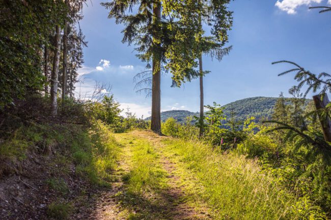 Deutschland, Europa, Europe, Extratour, Germany, Hessen, Hessia, Hiking, Hinterland, Lahn-Dill-Bergland, Location, Ort, Sommer, Summer, Wandern