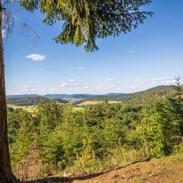 Deutschland, Europa, Europe, Extratour, Germany, Hessen, Hessia, Hiking, Hinterland, Lahn-Dill-Bergland, Location, Ort, Sommer, Summer, Wandern