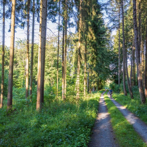 Deutschland, Europa, Europe, Extratour, Germany, Hessen, Hessia, Hiking, Hinterland, Lahn-Dill-Bergland, Location, Ort, Sommer, Summer, Wandern