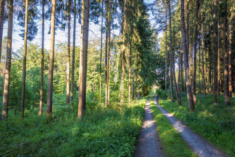 Deutschland, Europa, Europe, Extratour, Germany, Hessen, Hessia, Hiking, Hinterland, Lahn-Dill-Bergland, Location, Ort, Sommer, Summer, Wandern