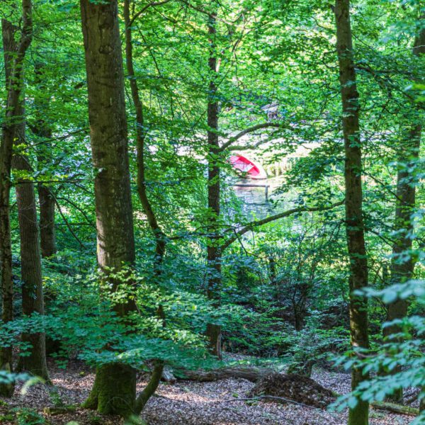 Deutschland, Europa, Europe, Extratour, Germany, Hessen, Hessia, Hiking, Hinterland, Lahn-Dill-Bergland, Location, Ort, Sommer, Summer, Wandern