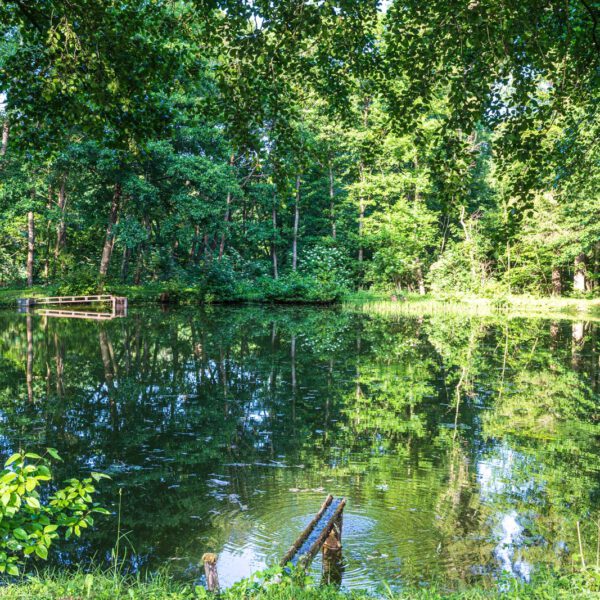 Deutschland, Europa, Europe, Extratour, Germany, Hessen, Hessia, Hiking, Hinterland, Lahn-Dill-Bergland, Location, Ort, Sommer, Summer, Wandern