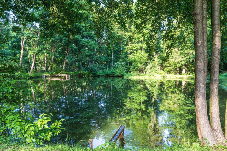 Deutschland, Europa, Europe, Extratour, Germany, Hessen, Hessia, Hiking, Hinterland, Lahn-Dill-Bergland, Location, Ort, Sommer, Summer, Wandern
