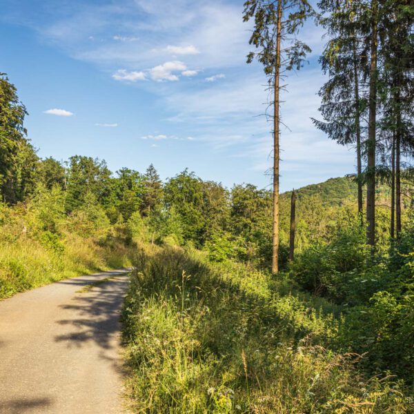 Deutschland, Europa, Europe, Extratour, Germany, Hessen, Hessia, Hiking, Hinterland, Lahn-Dill-Bergland, Location, Ort, Sommer, Summer, Wandern