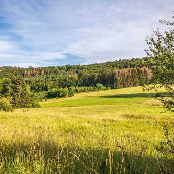 Deutschland, Europa, Europe, Extratour, Germany, Hessen, Hessia, Hiking, Hinterland, Lahn-Dill-Bergland, Location, Ort, Sommer, Summer, Wandern