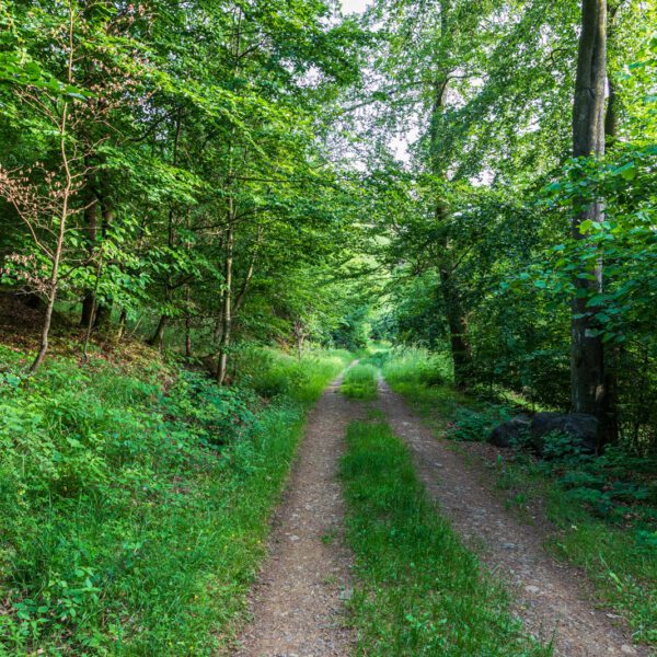 Deutschland, Europa, Europe, Extratour, Germany, Hessen, Hessia, Hiking, Hinterland, Lahn-Dill-Bergland, Location, Ort, Sommer, Summer, Wandern