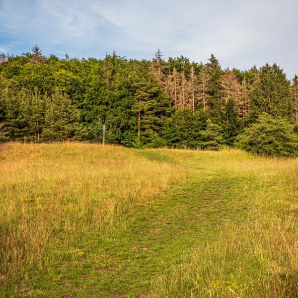 Deutschland, Europa, Europe, Extratour, Germany, Hessen, Hessia, Hiking, Hinterland, Lahn-Dill-Bergland, Location, Ort, Sommer, Summer, Wandern