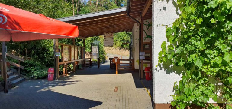 Animal, Deutschland, Europa, Europe, Germany, Herborn, Hessen, Hessia, Location, Ort, Sommer, Summer, Tier, Tiergarten, Zoo