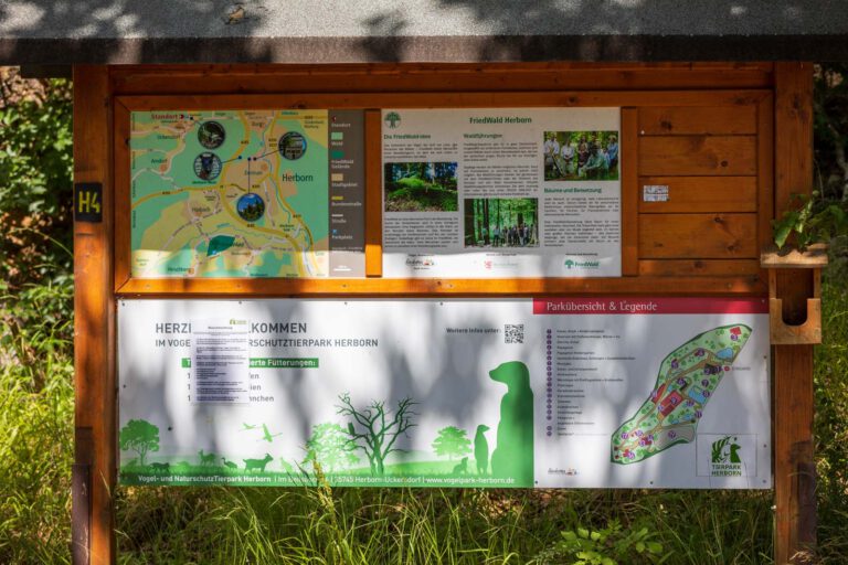 Animal, Deutschland, Europa, Europe, Germany, Herborn, Hessen, Hessia, Location, Ort, Sommer, Summer, Tier, Tiergarten, Zoo