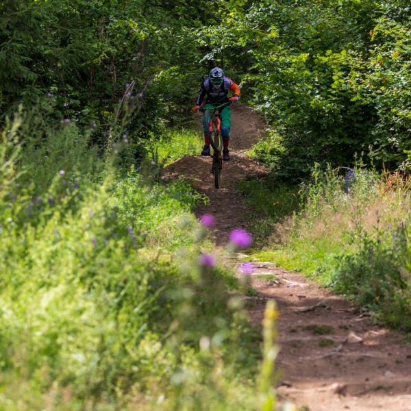 Action, Bad Endbach, Deutschland, Europa, Europe, Flowtrail, Germany, Hessen, Hessia, Hinterland, Location, Mountain Bike, Ort, Sport