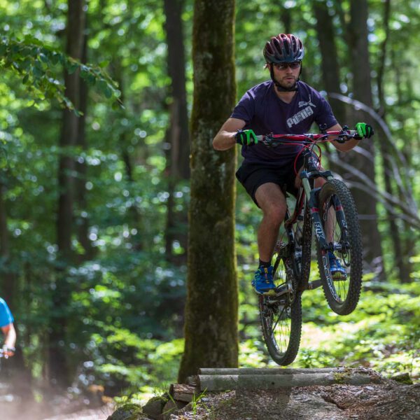 Action, Bad Endbach, Deutschland, Europa, Europe, Flowtrail, Germany, Hessen, Hessia, Hinterland, Location, Mountain Bike, Ort, Sport