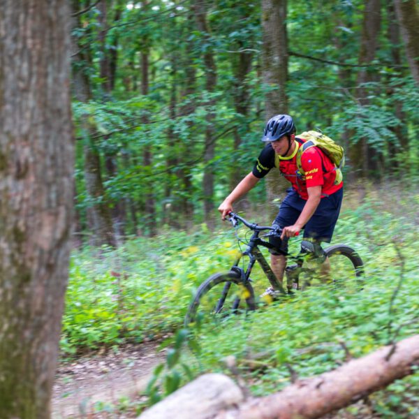 Action, Bad Endbach, Deutschland, Europa, Europe, Flowtrail, Germany, Hessen, Hessia, Hinterland, Location, Mountain Bike, Ort, Sport