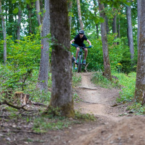 Action, Bad Endbach, Deutschland, Europa, Europe, Flowtrail, Germany, Hessen, Hessia, Hinterland, Location, Mountain Bike, Ort, Sport