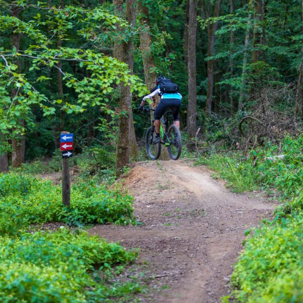 Action, Bad Endbach, Deutschland, Europa, Europe, Flowtrail, Germany, Hessen, Hessia, Hinterland, Location, Mountain Bike, Ort, Sport